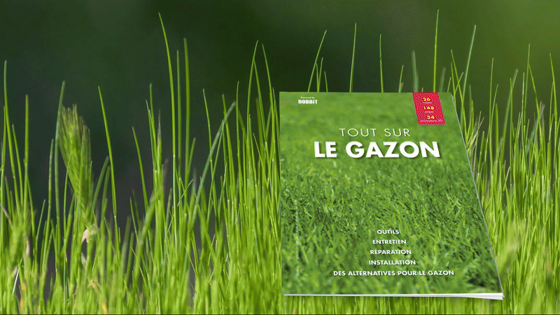 alles over uw gazon